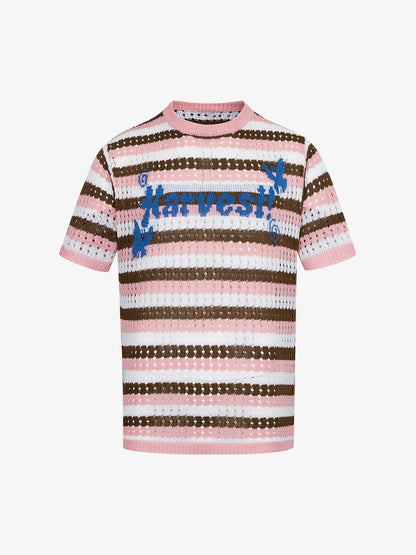 Contrast Striped Crochet Openwork Knit Short-sleeved T-shirt 
