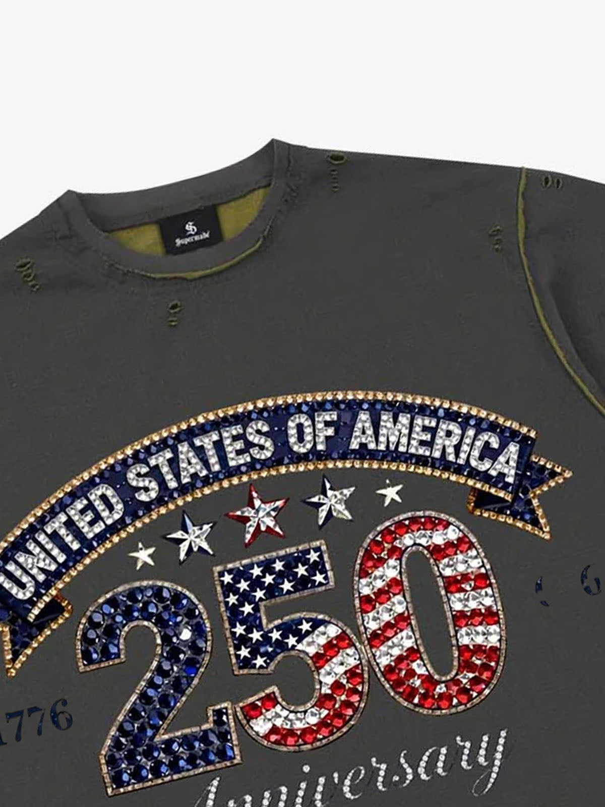 Rhinestone 250 Ripped Washed T-Shirt 