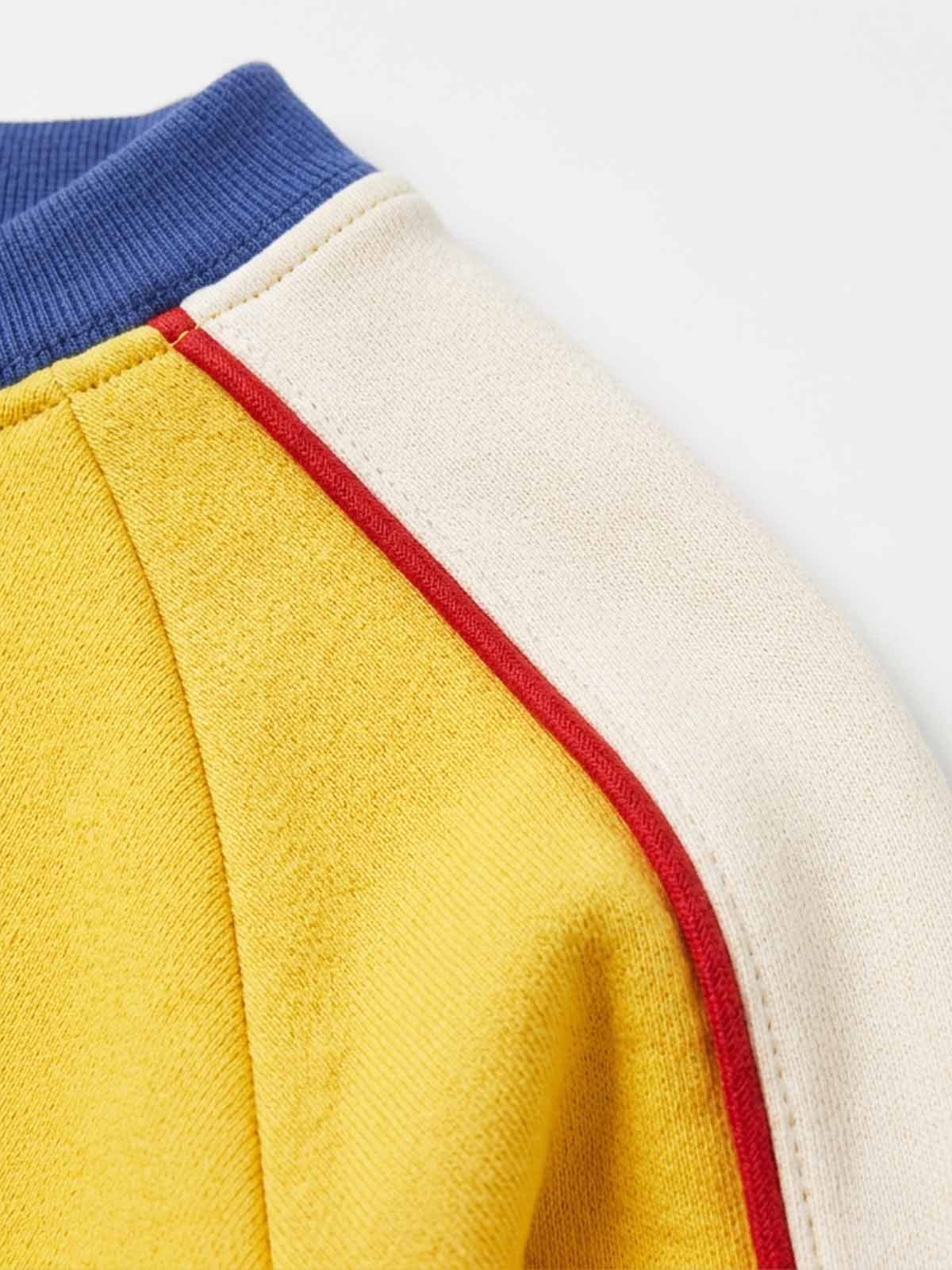 Motorcycle Graphic Color Block Cropped Sweatshirt