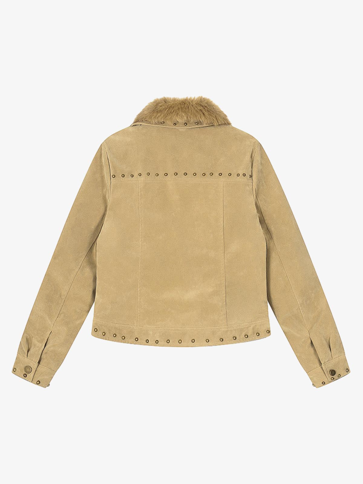 Stylish Faux Fur Collar Jacket for Men and Women - Trendy Design with High-Quality Details 