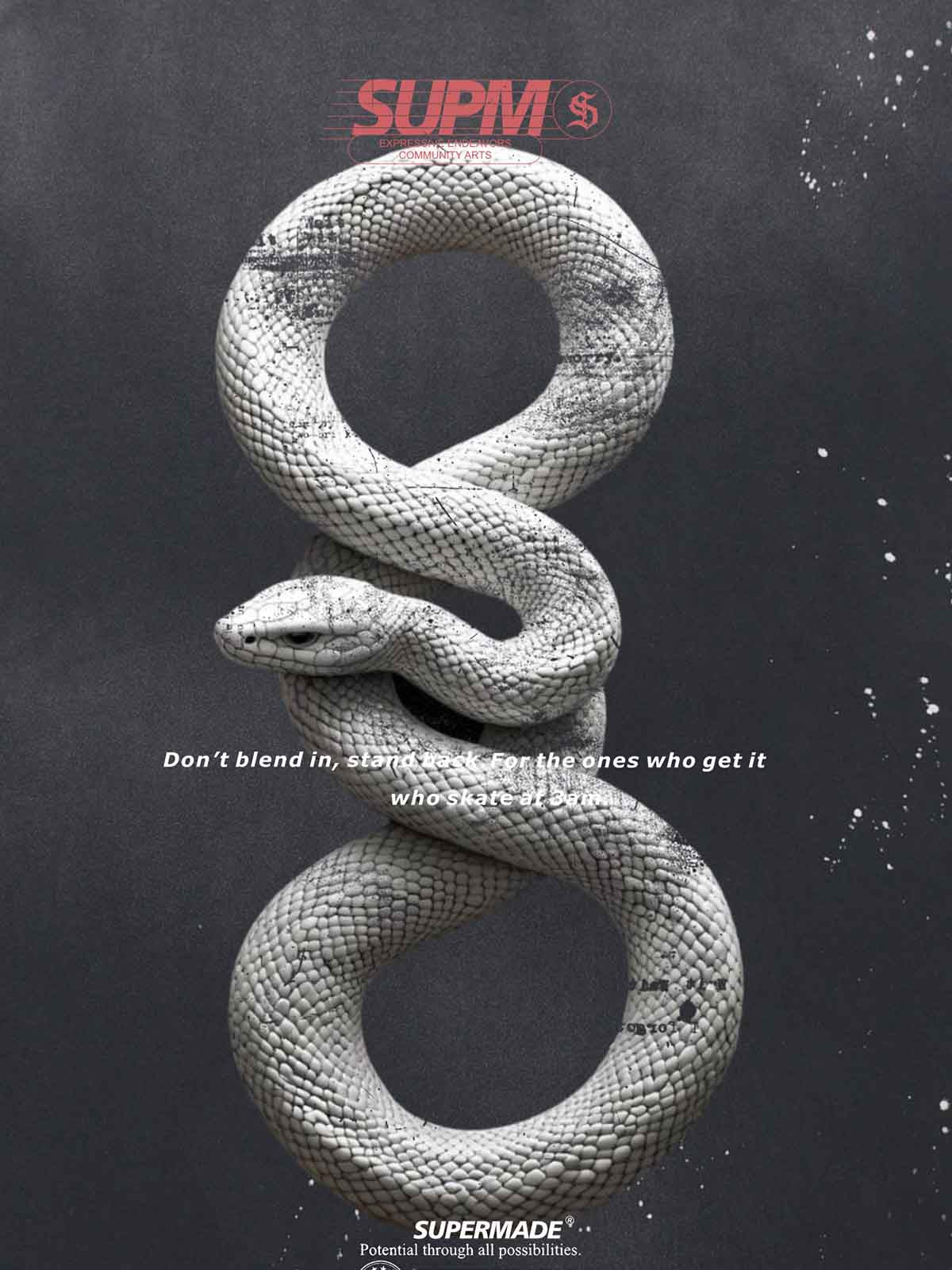 Snake and Sword Graphic T-Shirt with Bold Statement Design 