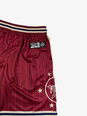 Star Crest Striped Soccer Shorts 
