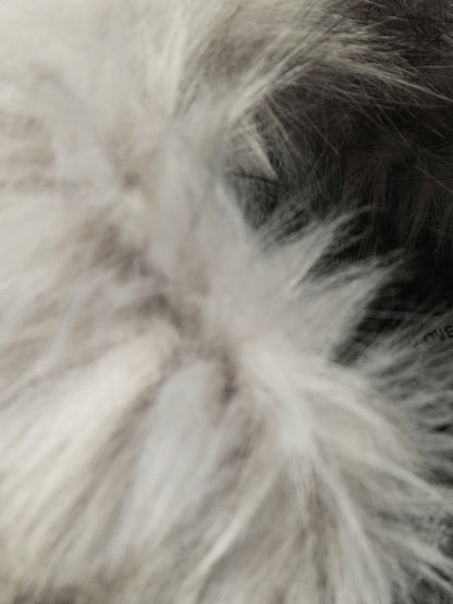 Stylish Faux Fur Collar Jacket for Winter Warmth and Fashion 