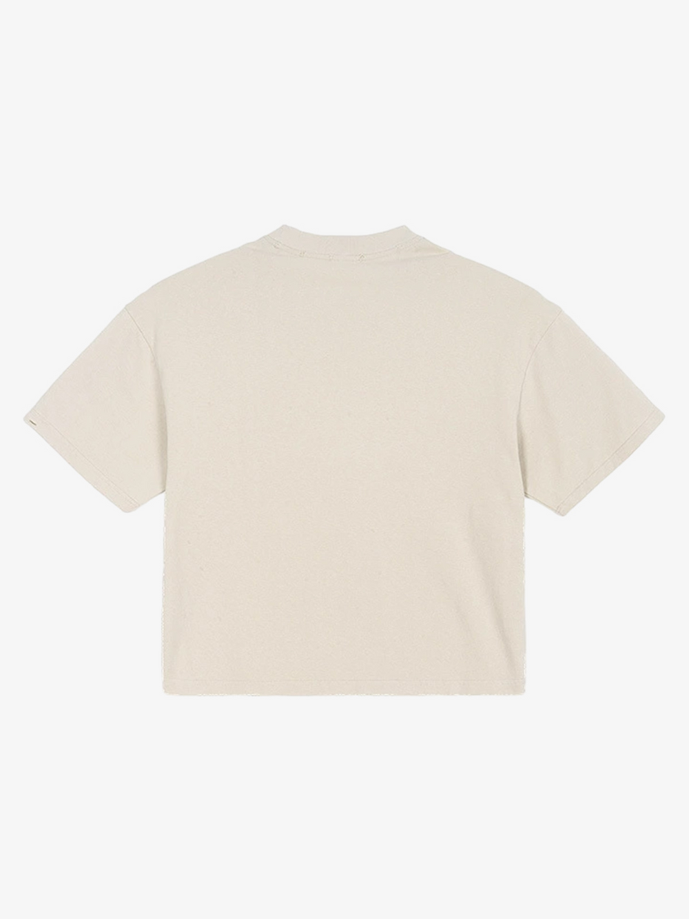 Graphic Distressed Cropped Tee