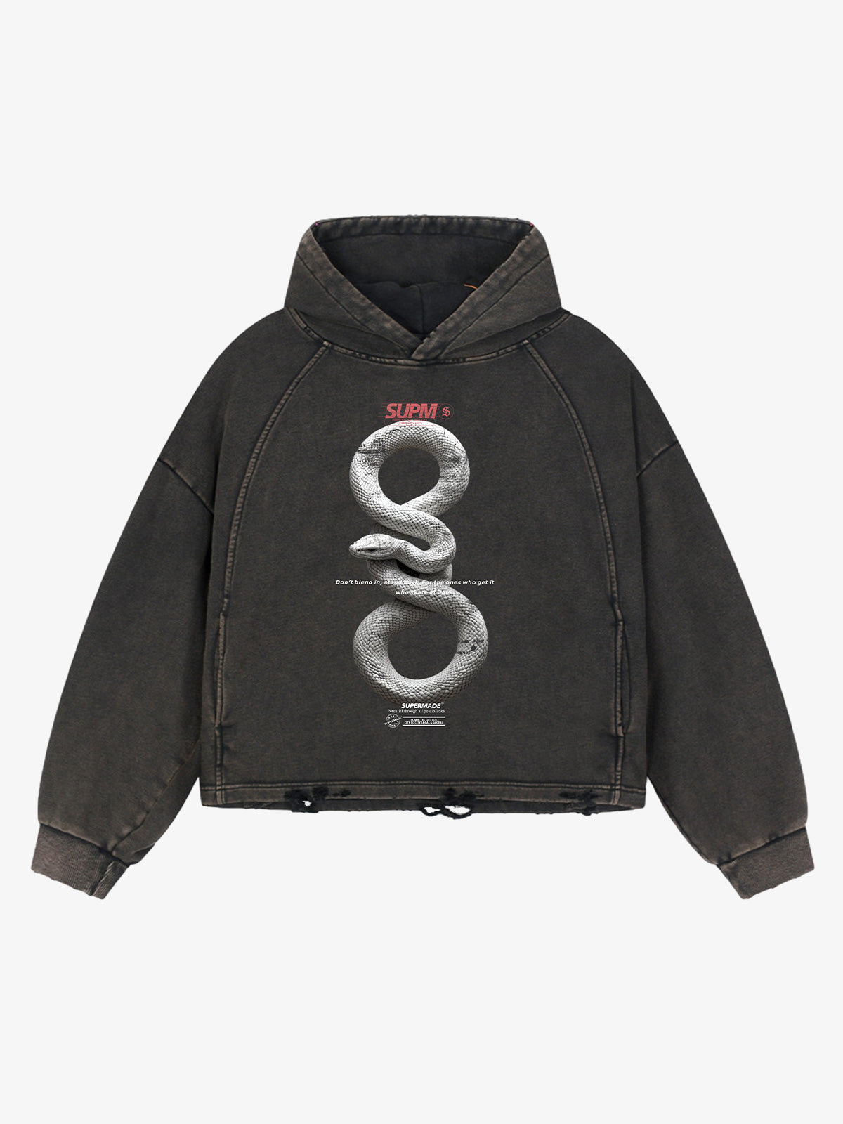 Vintage Washed Snake Appliqué Pullover Hoodie 