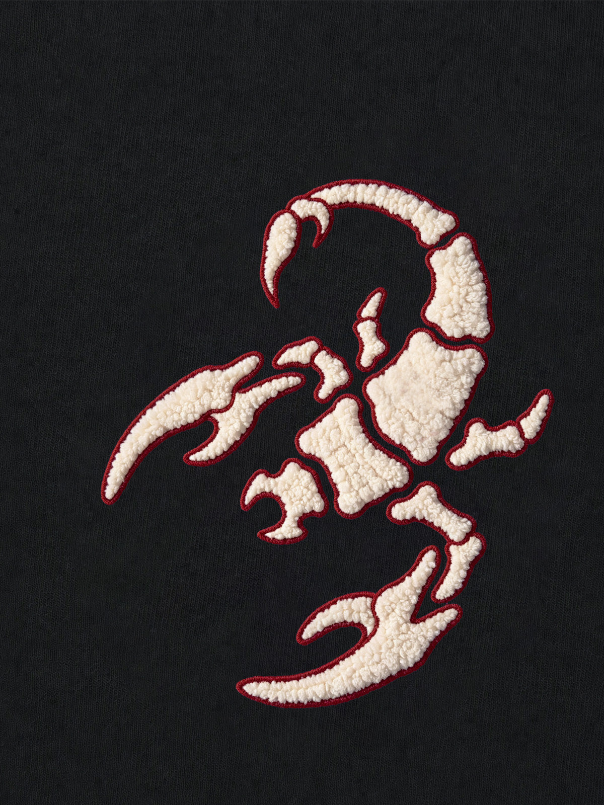 Scorpion Skeleton Terry Embroidered Hoodie