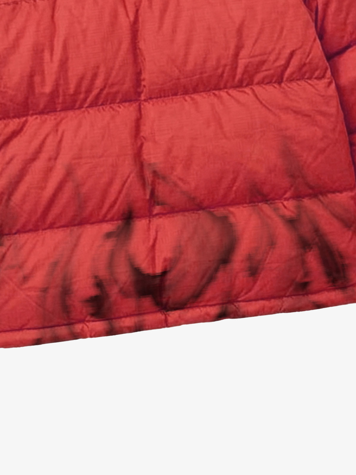 X-Ray Skeleton Graphic Hooded Padded Coat
