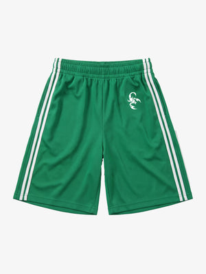 Striped Print Five-Point Casual Shorts
