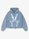 Light Iron Blue