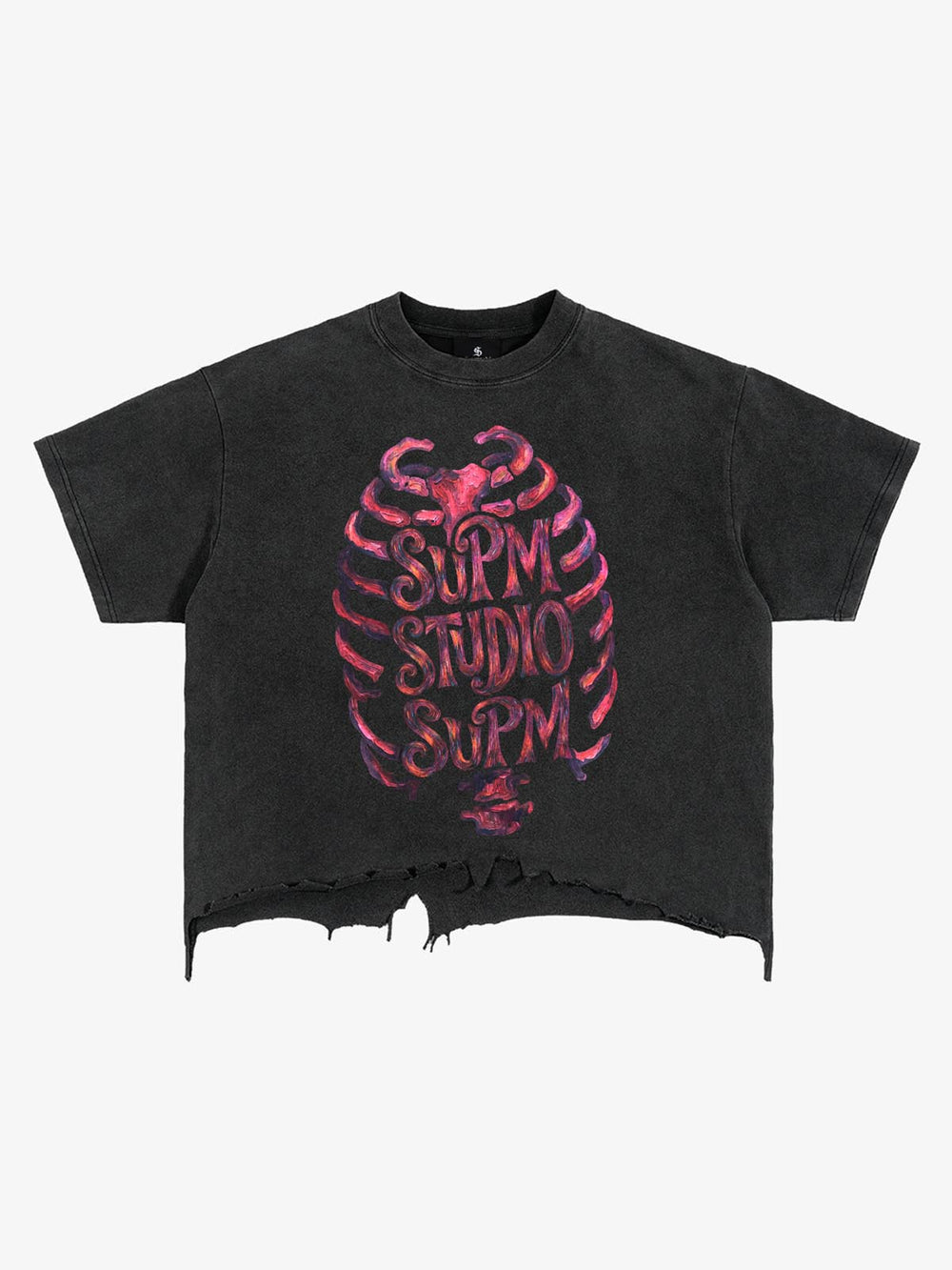 Skull Graphic Brushed Distressed Cropped Tee