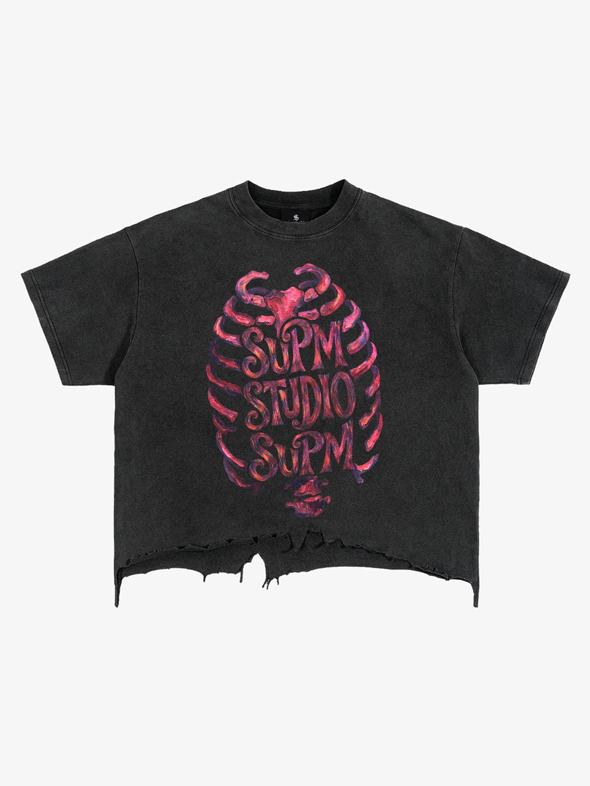 Skull Graphic Brushed Distressed Cropped Tee