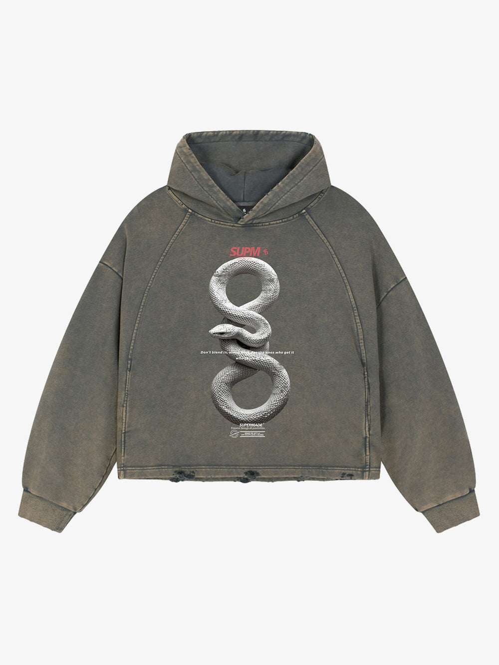 Vintage Washed Snake Appliqué Pullover Hoodie 