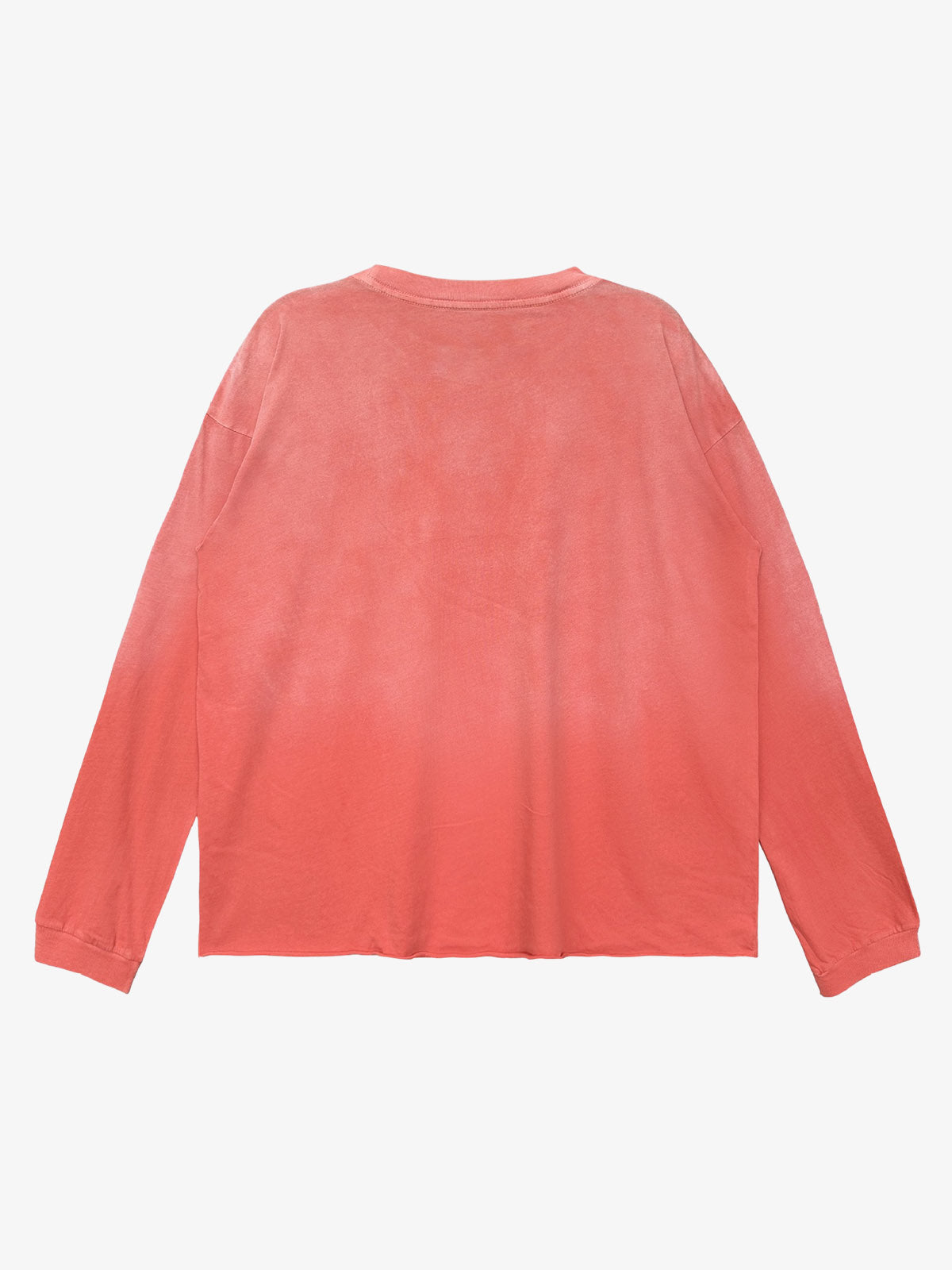 Salt Bones Graphic Distressed Long Sleeve Tee