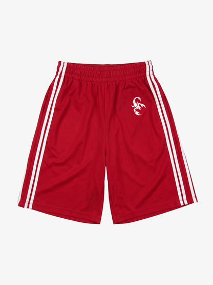 Striped Print Five-Point Casual Shorts