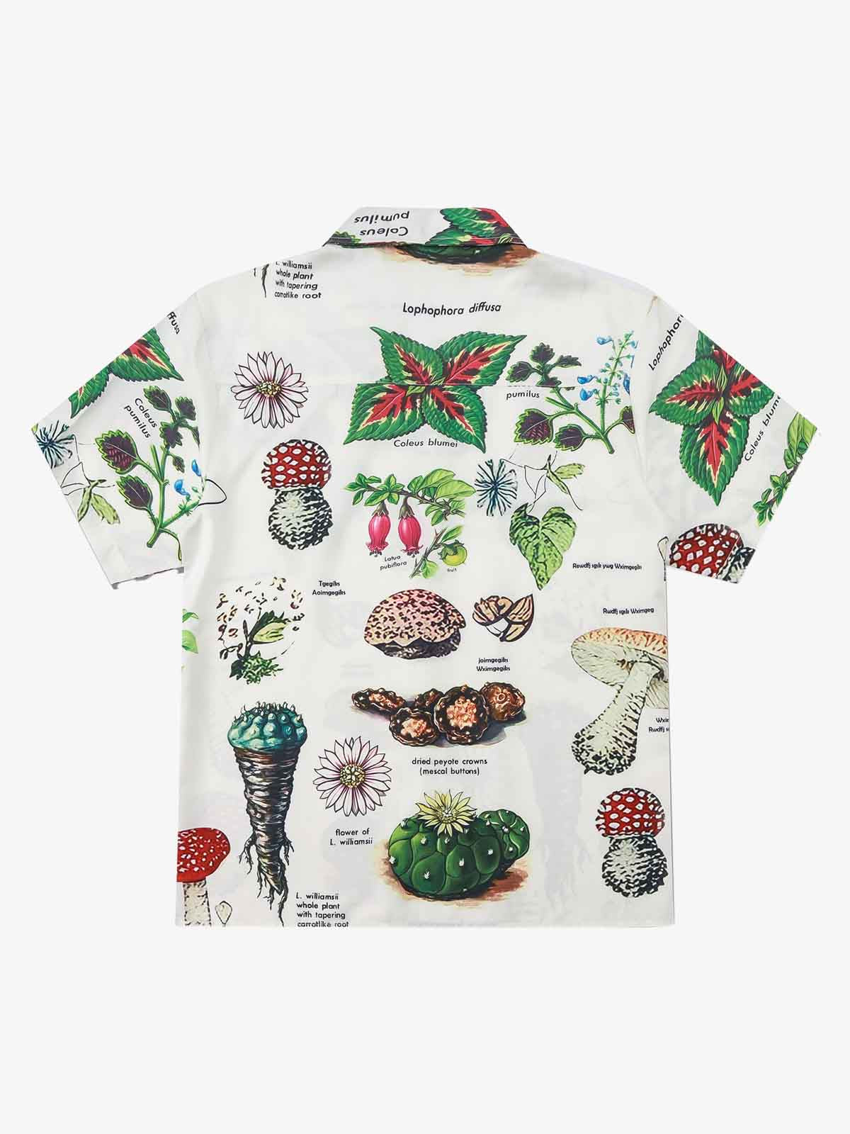 Vintage Succulent Botanical Print Camp Collar Boxy Shirt 