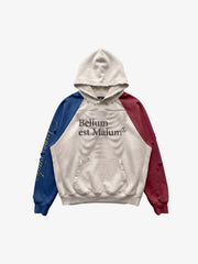 Skeleton Ribcage Graphic Distressed Raglan Hoodie