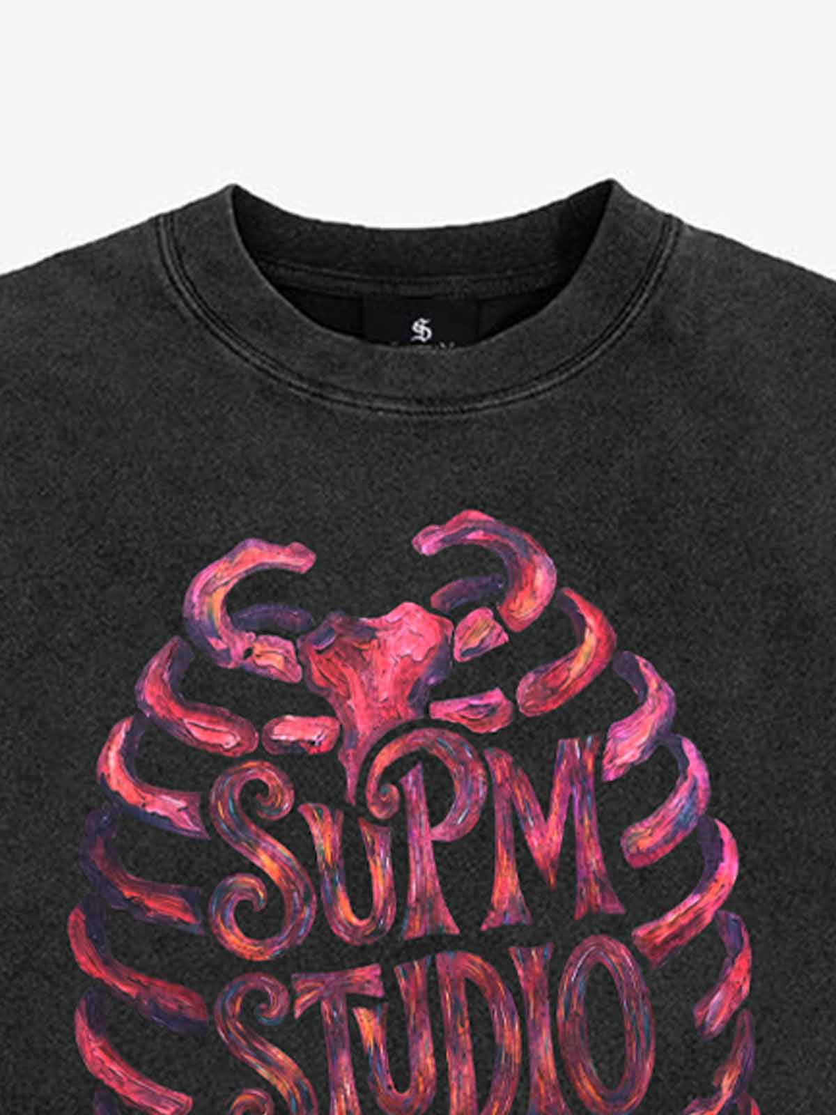 Skull Graphic Brushed Distressed Cropped Tee