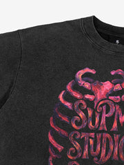 Skull Graphic Brushed Distressed Cropped Tee