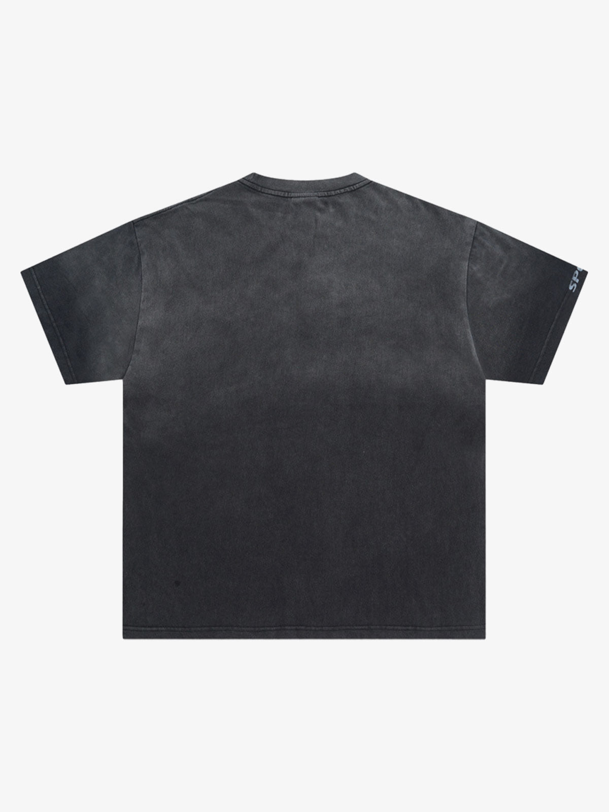 Heavy Washed Rap Music Festival Printed T-shirt 