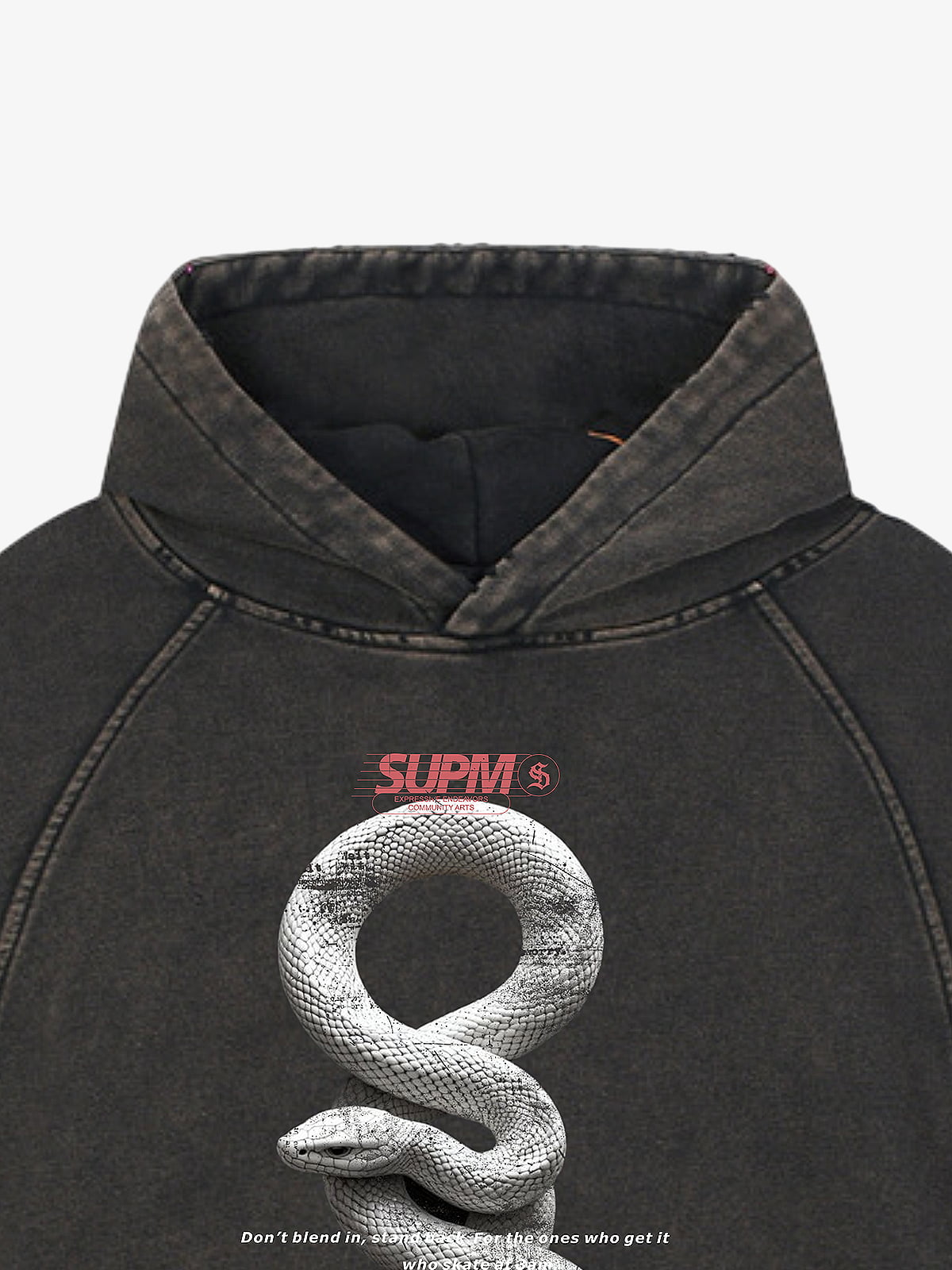 Vintage Washed Snake Appliqué Pullover Hoodie 