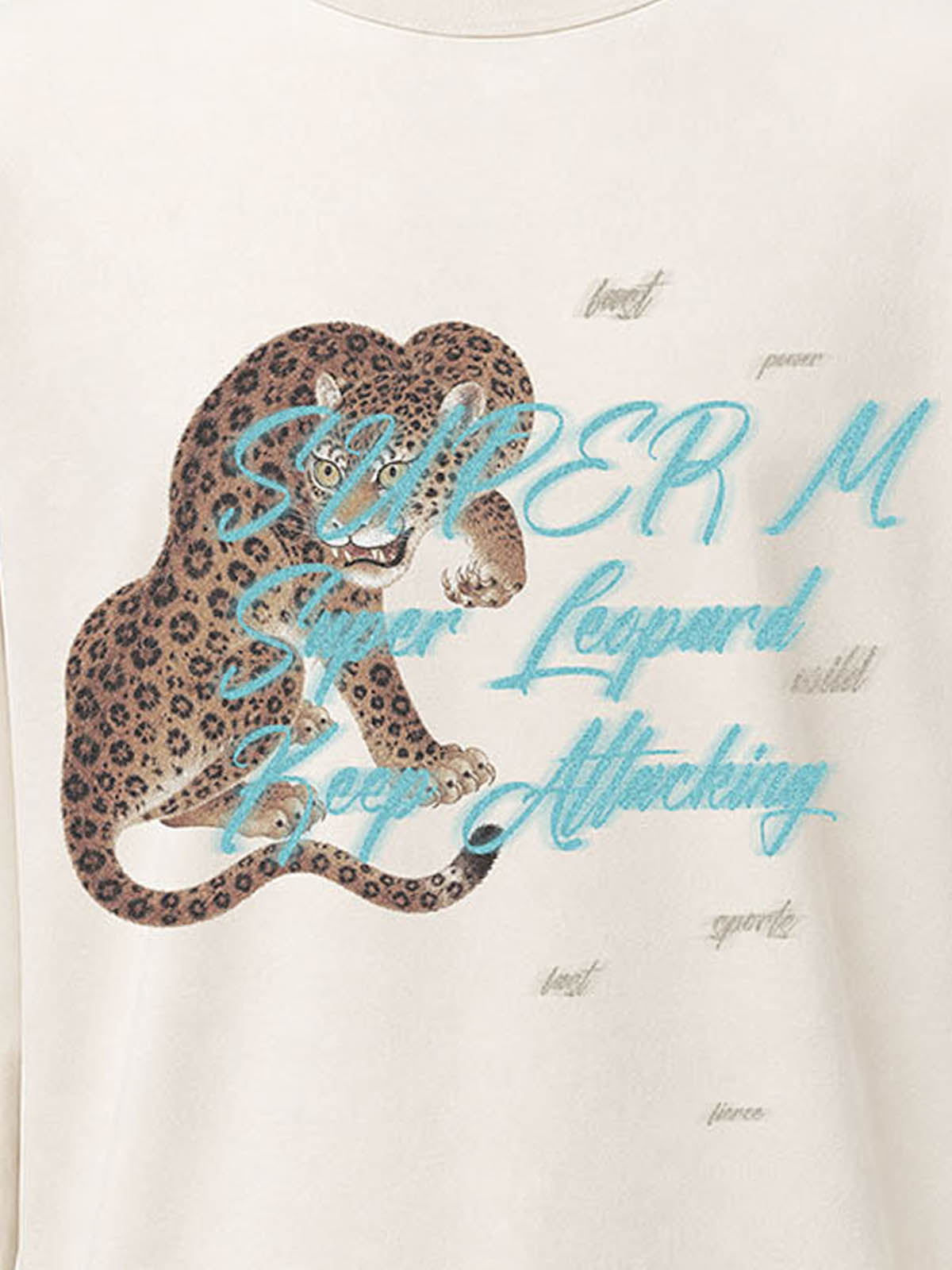 Leopard Graphic Long Sleeve T-shirt