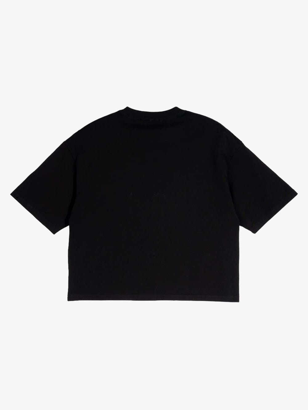 Embroidered Guardian Crop Tee