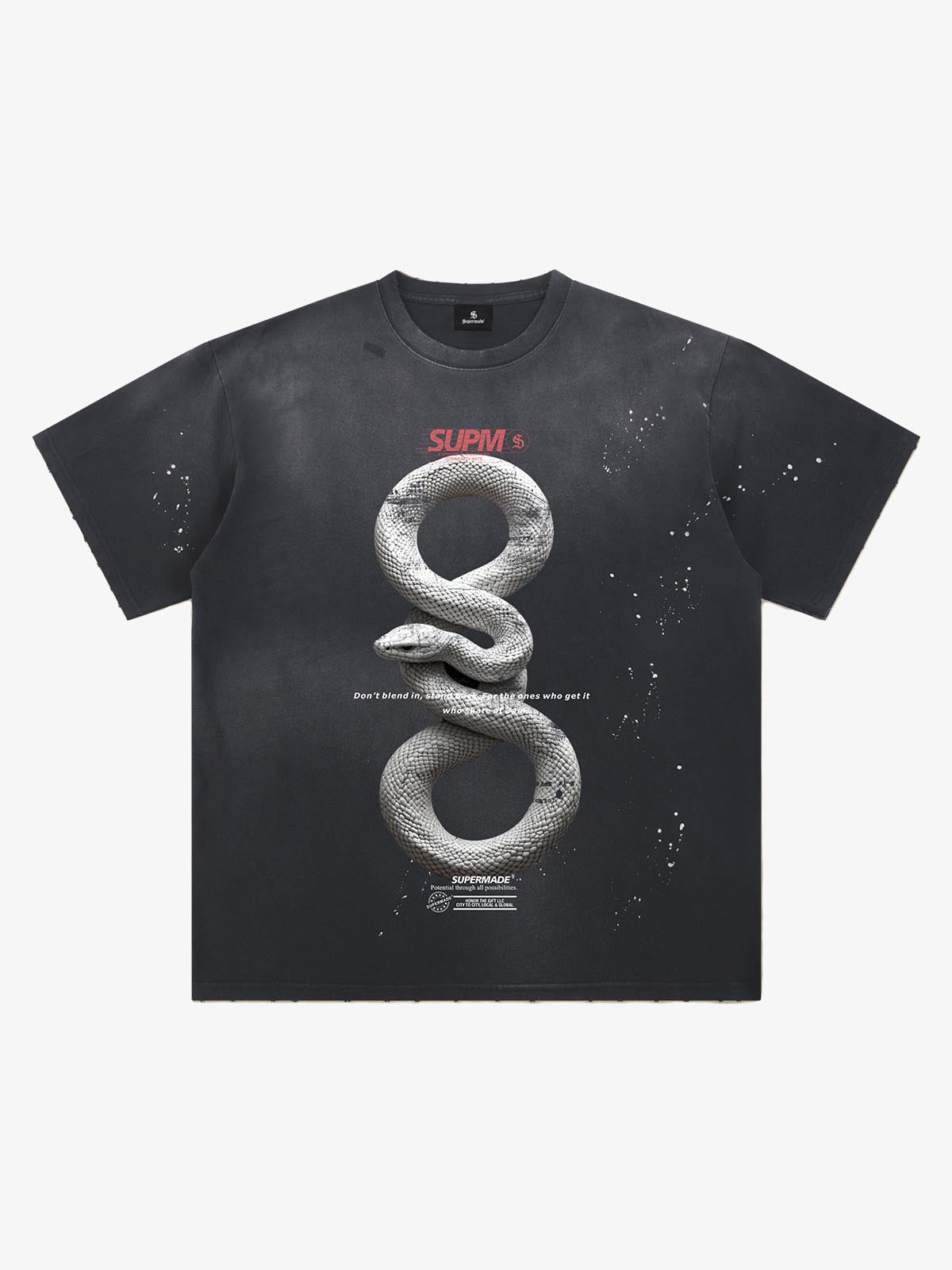 Snake and Sword Graphic T-Shirt with Bold Statement Design 