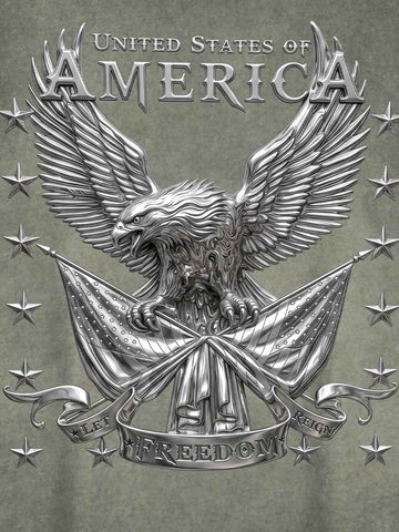 Vintage Freedom Eagle Sleeveless T-Shirt 