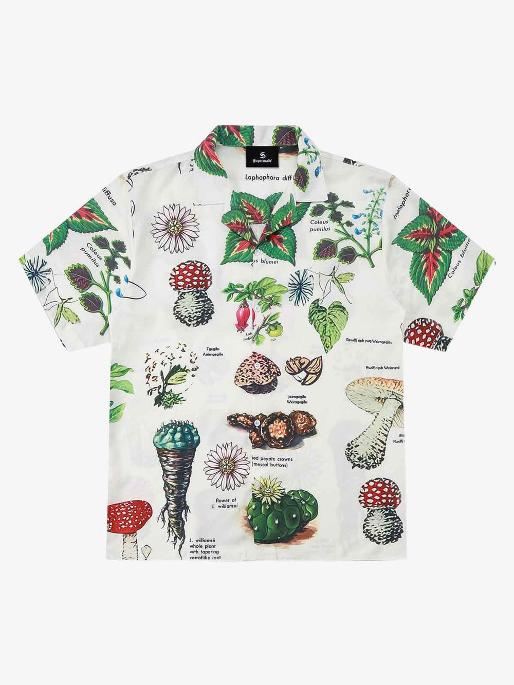 Vintage Succulent Botanical Print Camp Collar Boxy Shirt 