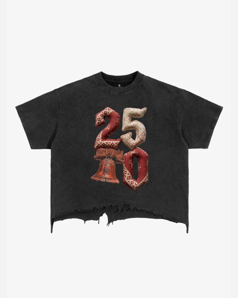 Vintage Washed 250 Graphic Distressed Cropped T-Shirt 