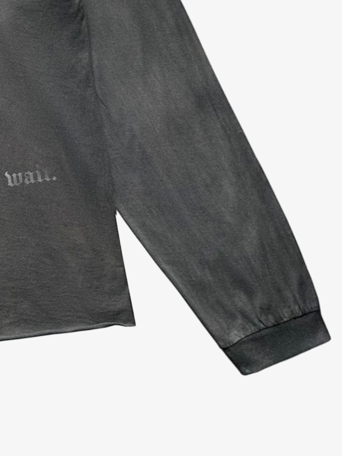 Salt Bones Graphic Distressed Long Sleeve Tee