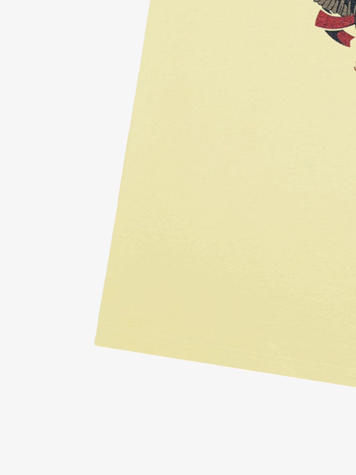 Original Freedom Eagle Print T-shirt 