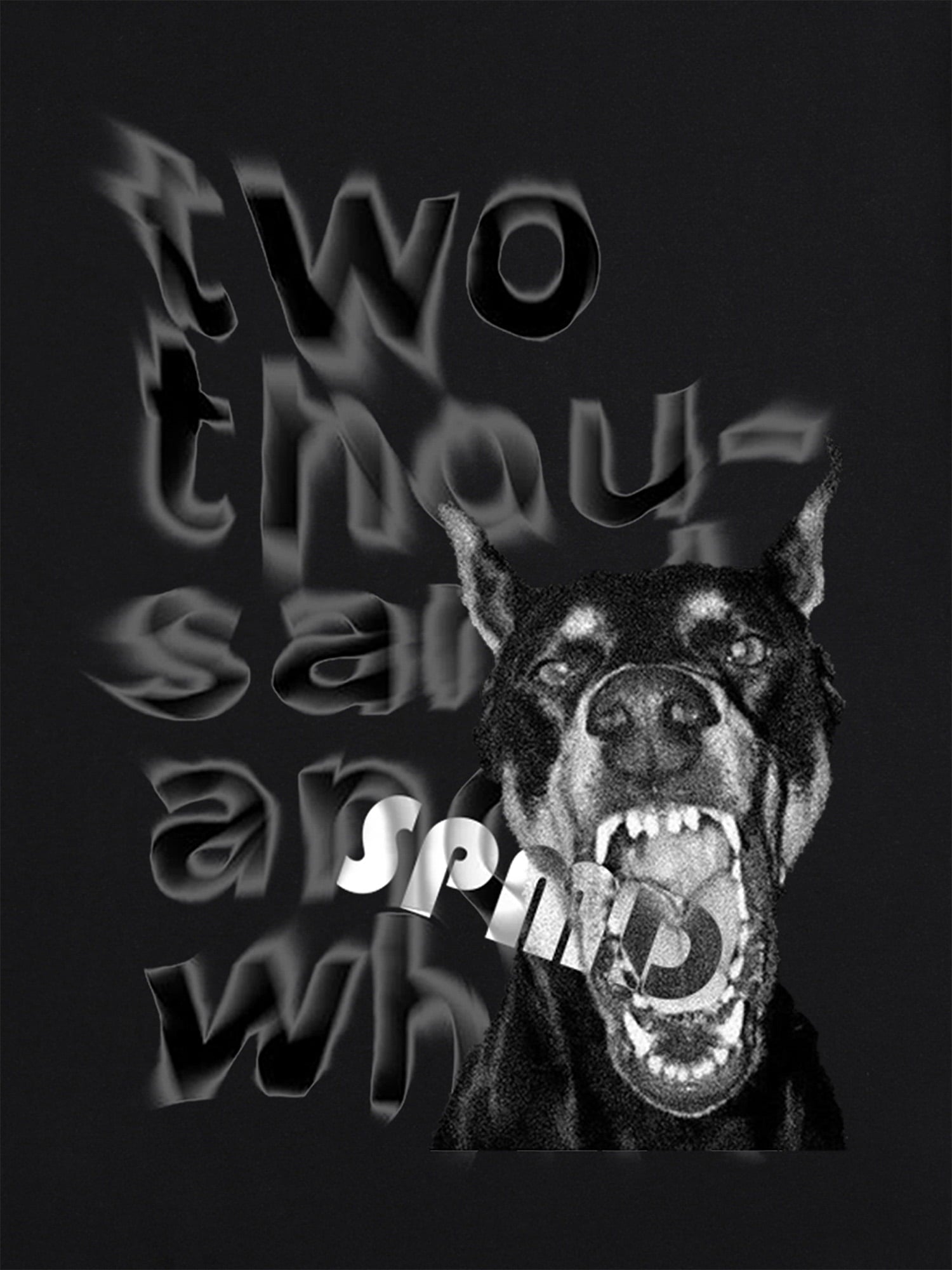 Thesupermade Fun Graffiti Letters Doberman Dog Print T-shirt 