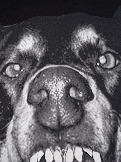 Thesupermade 3D Printed Doberman Dog Head Hip Hop T-shirt - 2063 