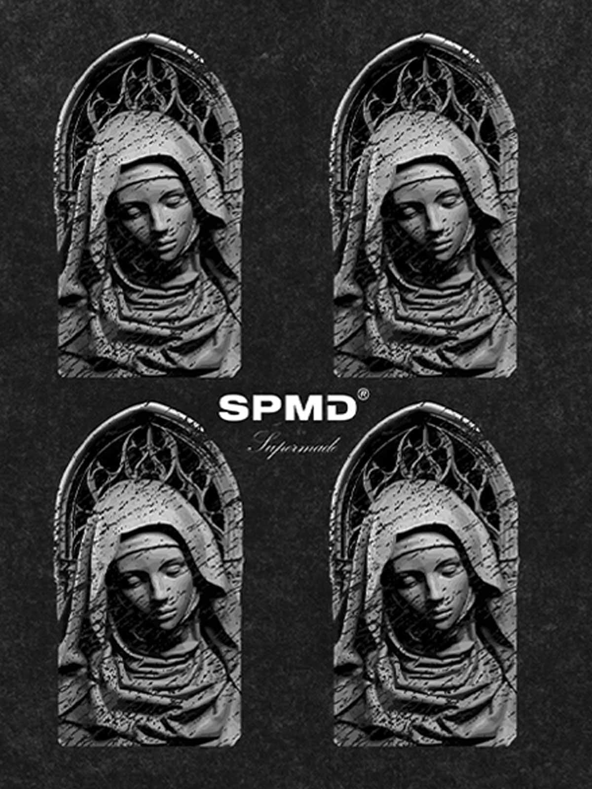 Original Virgin Mary Mottled Sculpture Print T-Shirt 