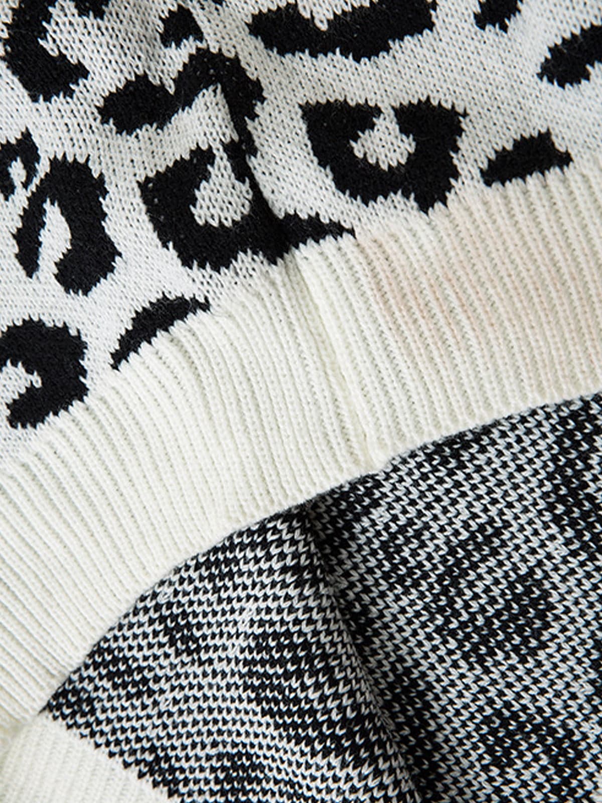 Thesupermade Tie-dye Cheetah Jacquard Sweater 
